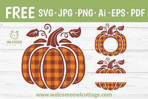 FREE Plaid Pumpkin svg Cut File for DIY Crafting Projects